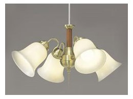 東芝 照明 シャンデリア」の人気商品一覧 | 安い商品を通販サイトから