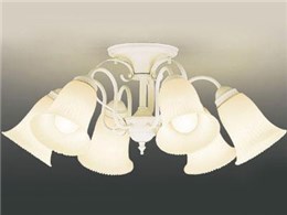 東芝 照明 シャンデリア」の人気商品一覧 | 安い商品を通販サイトから