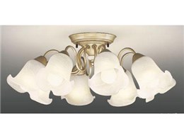 東芝 照明 シャンデリア」の人気商品一覧 | 安い商品を通販サイトから