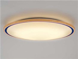 �A�[�o���f�B�[�v 12LKZ785LSG