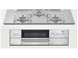 RHS71W10G7R-SR LP [NAO[W]