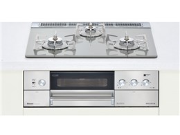 RHS31W10G7R-SL 13A [NAO[W]