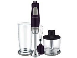 ESTM4600 [�I�[�o�W�[��]