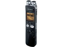 ICD-SX813 (B) [ubN]
