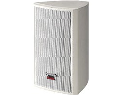 RAMSA WS-M10T-W [zCg Pi]