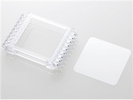 AVA-N10PCCR [�N���A]