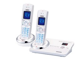 DECT3080-2(W) [zCg]