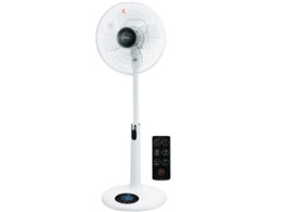 F-LN10(W) [zCg]