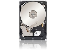 ST500NM0001 [500GB 7200 SAS2.0]