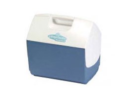 CO[ }bNXR[h vCCgG[g16QT M-6993