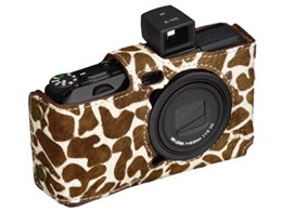 DBS-GR4GF [�L����]