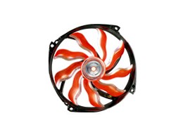 XAF-F1453 [Black & Orange]