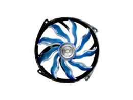 XAF-F1456 [Black & Blue]