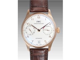 |gM[[ I[g}eBbN IW500113