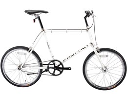 PROPHET P-202 [�z���C�g]