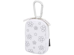 SPG-CC-SFWT [X|bgt[ zCg]