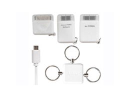 RK-ACF21W [�z���C�g]