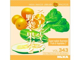 Mixa Image Library Vol.343 �X�[�p�[���A���C���X�g ��؁E�ʎ�2
