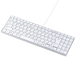 SKB-SL17W [�z���C�g]