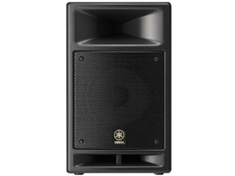 MSR100 [�P�i]