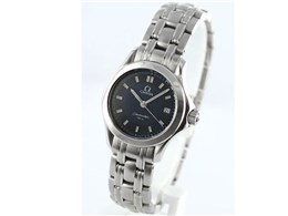 �V�[�}�X�^�[ 120m 2581.92