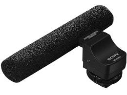 ECM-HS1