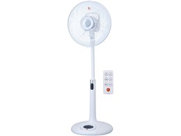 F-LP10(W) [zCg]