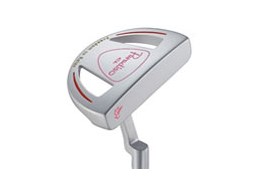 pfB[] CL p^[ fB[X PCCS1P [32C`]