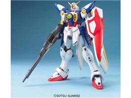 MG 1/100 V@LK_W ECOK_