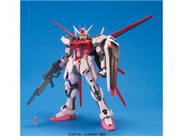 MG 1/100 @mK_SEED XgCN[W