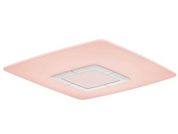 DL-C207V