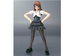 S.H.Figuarts ʃC_[d ni 19Ver.