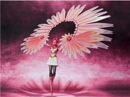 D-Arts �y���\�i4 �R�m�n�i�T�N��