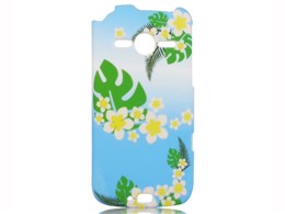 BM-F11DRC/GR [�O���[��]