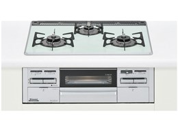 RS31W13K9R-VR LP