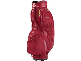 PHYZ CBPH31 [��]