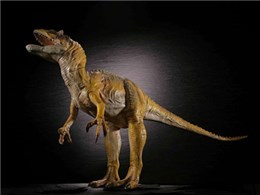 _CmeCYV[Y ATEX [uEJ[]