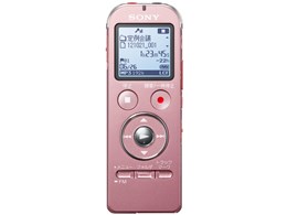 ICD-UX534F (P) [sN]