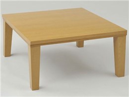 WSY-SP751(LB) [CguE]