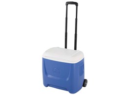 �C�O���[ �A�C�����h�u���[�Y 28QT���[���[ M-6978 [�u���[]