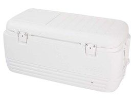 CO[ NCbN&N[100QT M-6979 [zCg]