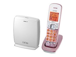 DECT2570(SP) [VFsN]