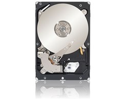 ST32000645SS [2TB 7200 SAS2.0]