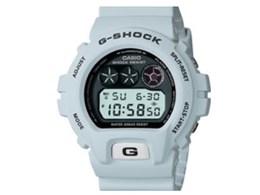 G-SHOCK DW-6900FS-8 [�C�O���f��]
