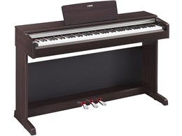 ARIUS YDP-142R [j[_[N[YEbh]