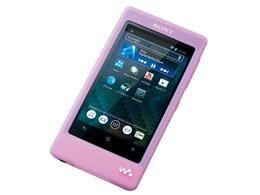 CKM-NWF800 (PI) [CgsN]