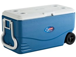 GNXg[ zC[N[[ 100QT 3000001352 [}[u[]