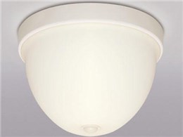 XME-151701L