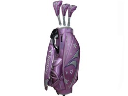 cA[Xe[W qvvJf CBTX36 [p[v]