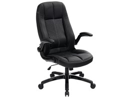 Executive EX-24 Intelligente [ubN]